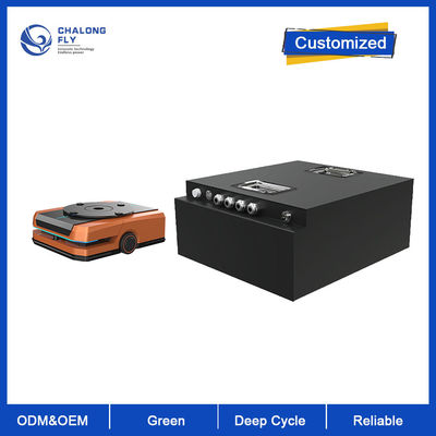 Custom Removable LiFePO4 Lithium Battery Pack for E-scooter with High Discharge Rate