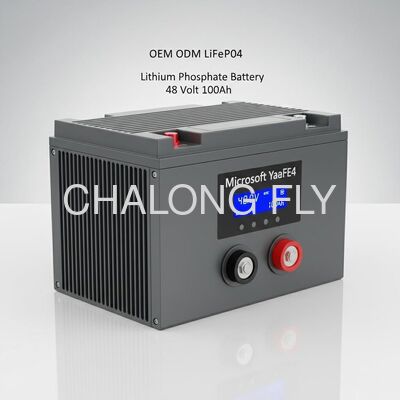 OEM ODM LiFePO4 Lithium Battery 48V 100Ah with 6000 Cycle Life and IP65 Waterproof for Solar Energy Storage