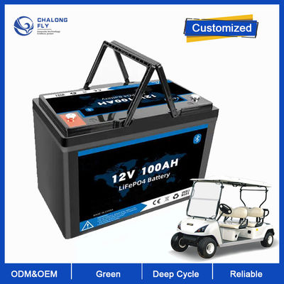 태양 에너지 시스템을 위한 LiFePo4 리튬 배터리 12V 100AH 200AH 딥 사이클 배터리 OEM ODM 리듐 인산철