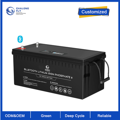 OEM ODM LiFePO4 리튬 배터리 12V 200Ah 리튬 배터리 맞춤형 배터리 리튬 배터리 팩