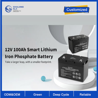 OEM ODM LiFePO4 리?? 배터리 12V 100Ah 리?? 배터리 스마트 딥 사이클 사용자 정의 배터리 리?? 배터리 팩