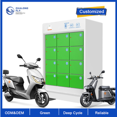 맞춤화된 OEM ODM LiFePO4 리튬 배터리 5 챔버 전지 스와핑 스테이션