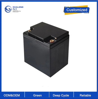 ODM OEM 맞춤형 플러그 타입 LiFePO4 리?? 배터리 24V 48V 18Ah 36Ah 40Ah