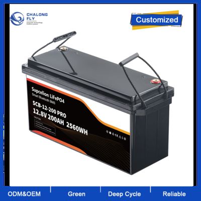 리튬 이온 배터리 팩 12V 200Ah 납산 교체 도매 OEM 납산에서 Lifepo4 배터리 EU 재고