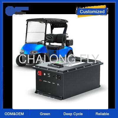 블루투스 및 4000 사이클 LiFePO4 배터리가 장착된 48V 100Ah 골프 카트 리튬 배터리 (전기 골프 카트용)