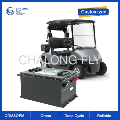48V 190Ah 고 용량 LiFePO4 배터리 6000+ 사이클과 IP65 골프 카트를 위한 방수