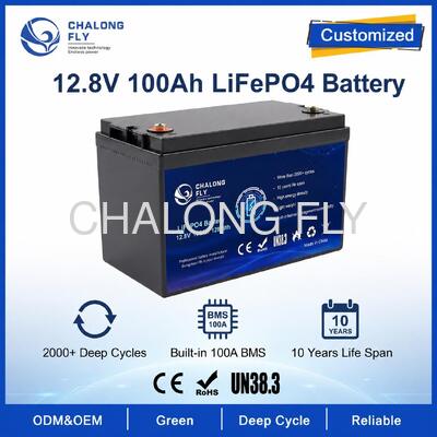 맞춤형 12.8V 100Ah LiFePO4 배터리 팩 (BMS 포함) - 태양광 가로등 및 RV 보조 전원용