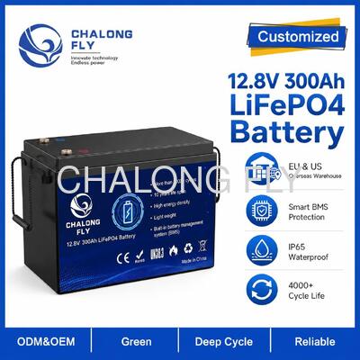 맞춤형 12.8V 314Ah LiFePO4 배터리 팩 (BMS 포함, 휴대용 전원 및 태양광 저장용)