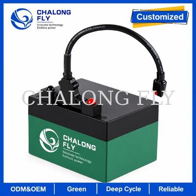 12.8V 18Ah 24Ah LiFePO4 골프 트롤리 배터리 (T-바 커넥터 포함)