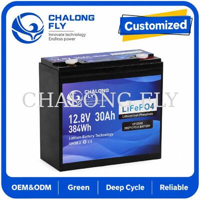 12.8V 30Ah LiFePO4 Deep Cycle 배터리 384Wh 에너지와 12V 시스템에 대한 스마트 BMS