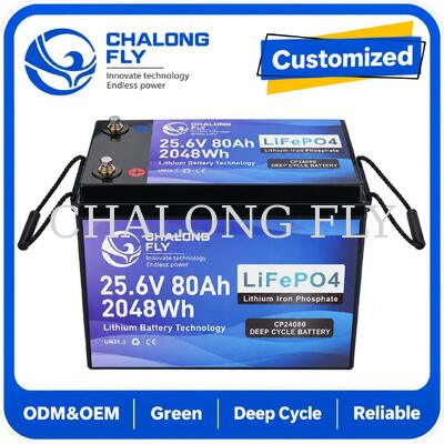 블루투스 원격 진단 및 1.792kWh를 갖춘 25.6V 70Ah LiFePO4 배터리 (이동 보조 스쿠터 및 휠체어용)